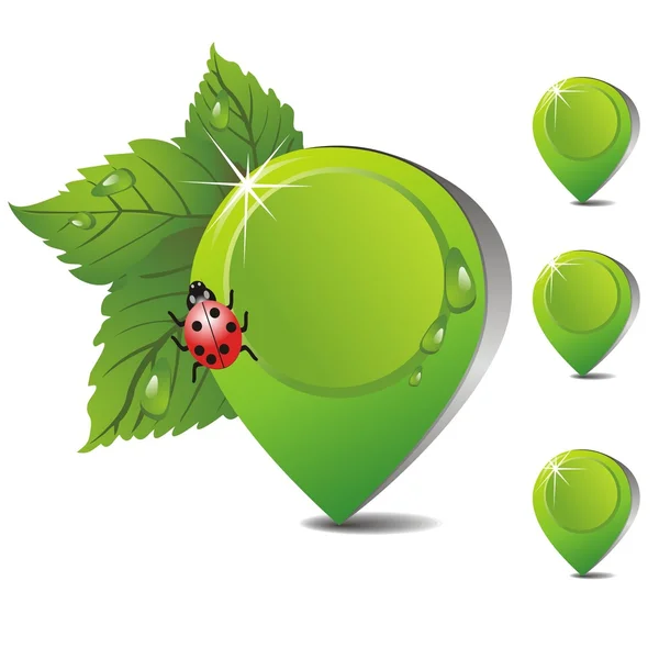 Puntatore verde 100% organico con foglie e gocce d'acqua — Vettoriale Stock