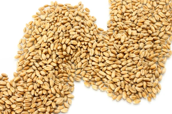 小麦のパス — ストック写真