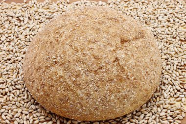 Bread and wheat seeds close-up clipart