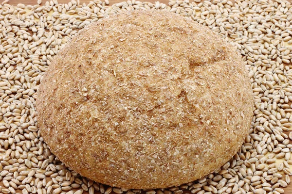 Primer plano de las semillas de pan y trigo — Foto de Stock