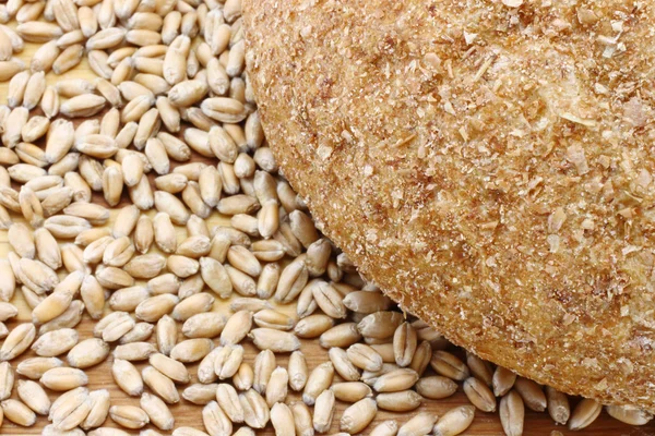 Chléb a pšenice semena — Stock fotografie