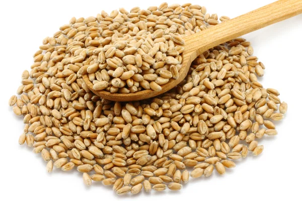 Pšenice v vařečka detail — Stock fotografie