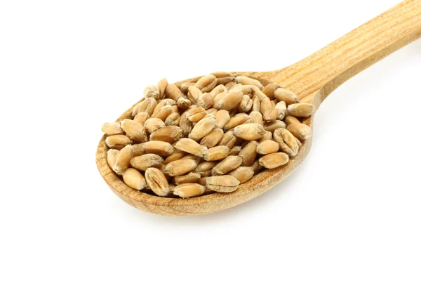 Wheat in wooden spoon close-up — Stock Photo, Image