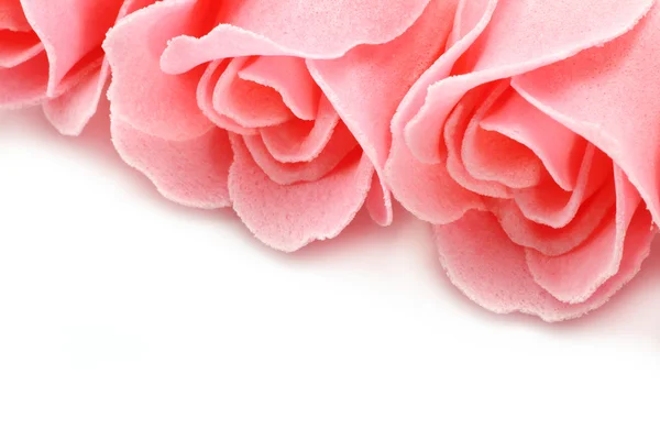 stock image Pink soap roses close-up