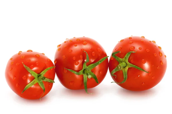 Wet tomato — Stock Photo, Image
