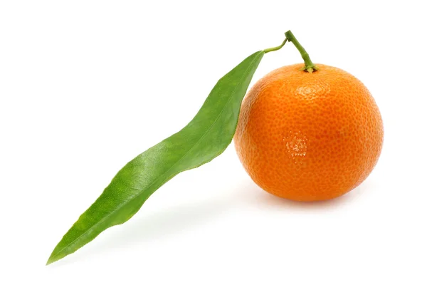 Tangerine and leaf — Stock Photo, Image