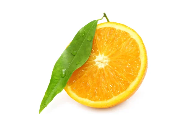 Segmento laranja — Fotografia de Stock