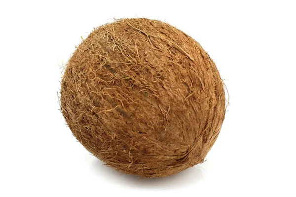 Big coconut — Stock Photo, Image