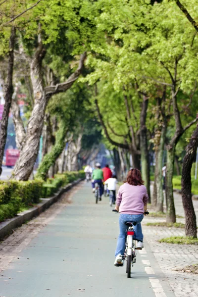 Bicycle path outdoors — Stock Photo, Image
