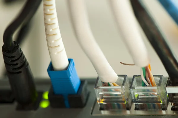 Jacks of the LAN cable plugged in router — Stock Photo, Image