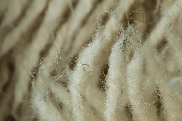 Fibres de laine — Photo