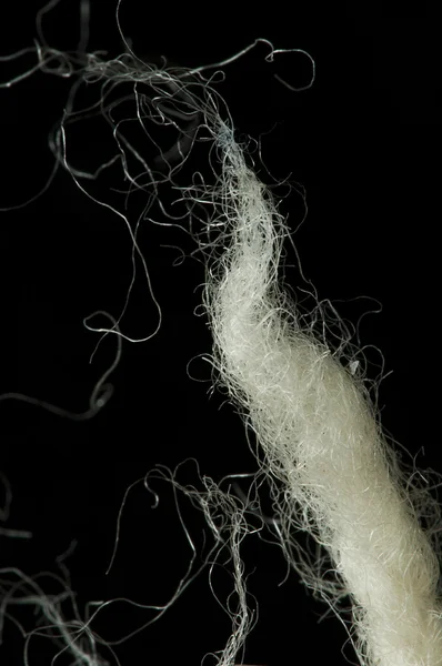 Fibras de lã — Fotografia de Stock