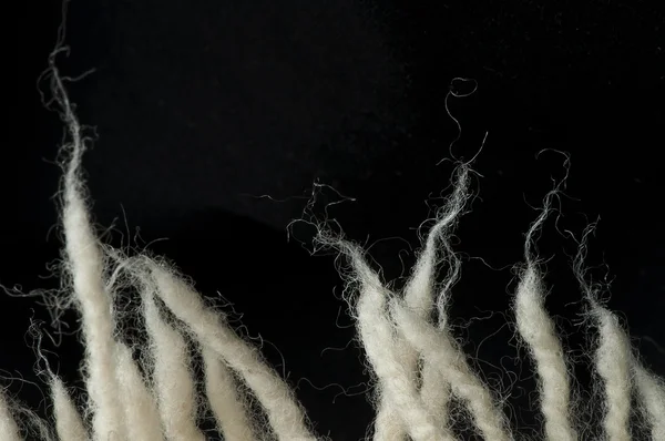 Fibres de laine — Photo