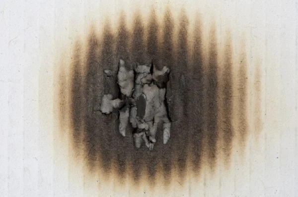 Злегка спалили паперу — стокове фото