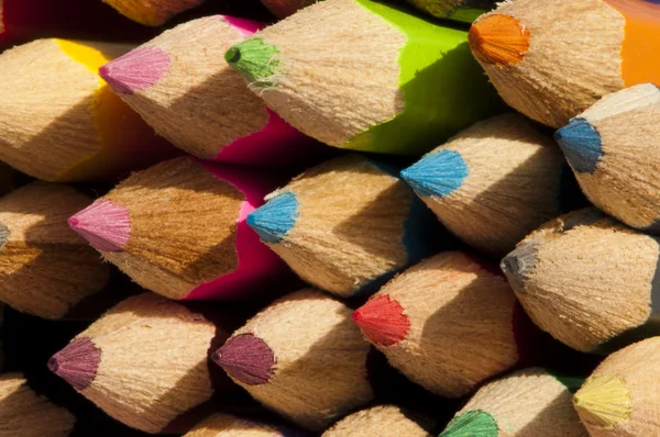 Різнокольорові олівці розташовані на фоні — стокове фото