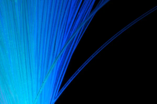 光学纤维 — 图库照片