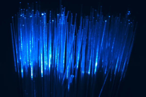 Optical fibers — Stock Photo, Image
