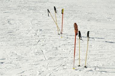 Kayak direkleri