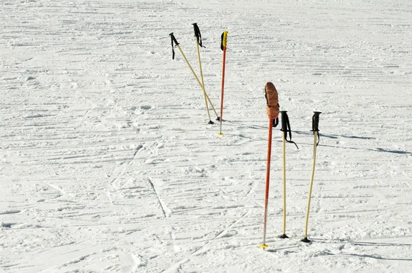 Kijki narciarskie — Zdjęcie stockowe