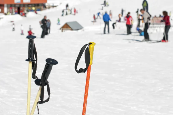 stock image Ski poles