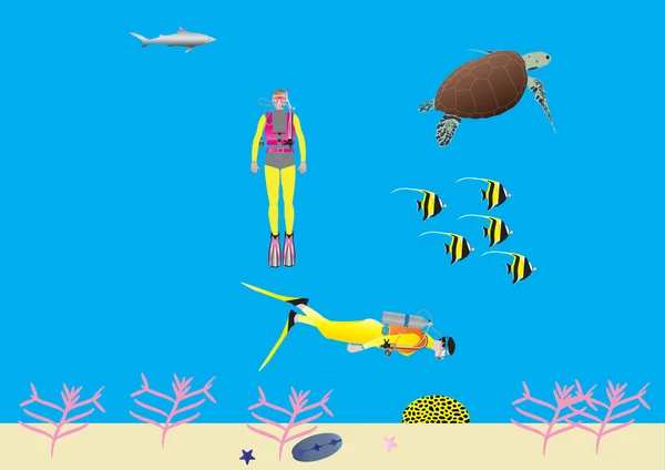 Mulheres mergulhadoras em um recife de coral — Vetor de Stock