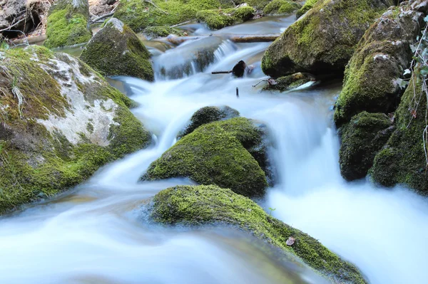 stock image Myra falls