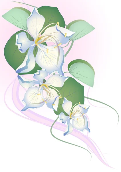 Αφηρημένα φόντο λουλούδια με θέση για το κείμενό σας σε απομόνωση λευκό — Διανυσματικό Αρχείο