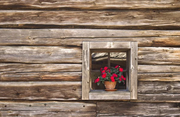 stock image Wood Wall