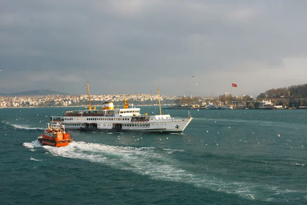 stock image The riverboats at the nice day