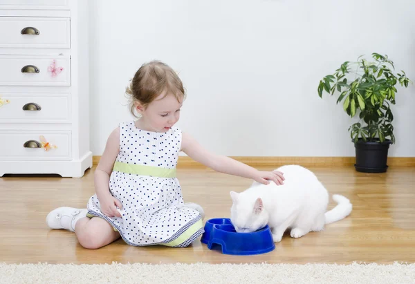 Küçük şirin kız beyaz bir kedi besleme — Stok fotoğraf