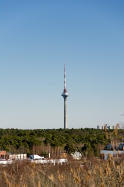 Tallinn tv kulesi. 314 metre uzunluğunda. Toplam kule ağırlığı yaklaşık 20.000 ton olduğunu