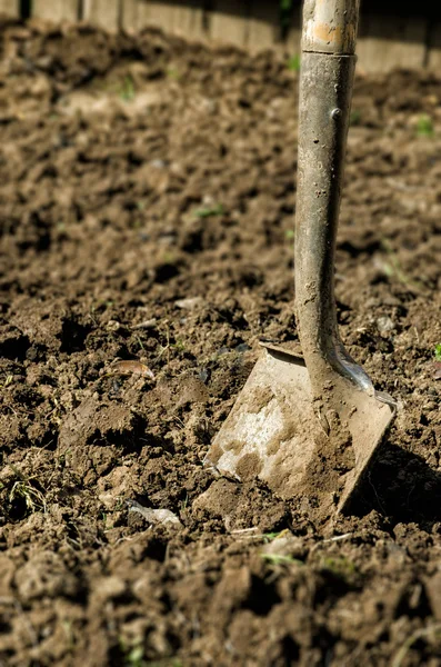 Лопата застряла в грязи — стоковое фото