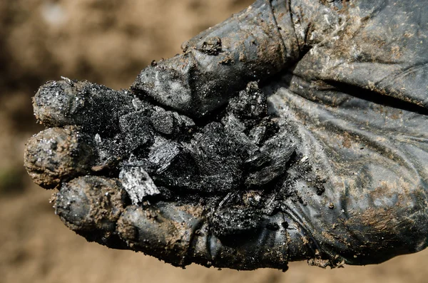 Χέρι-γάντια κρατώντας ένα κάρβουνο — Φωτογραφία Αρχείου