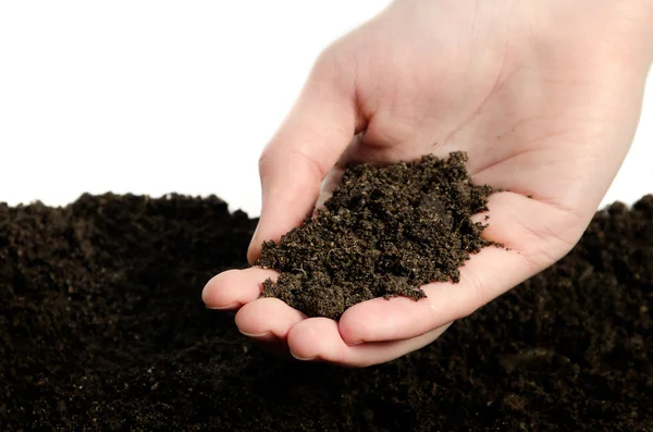 Hand whith soil — Stock Photo, Image