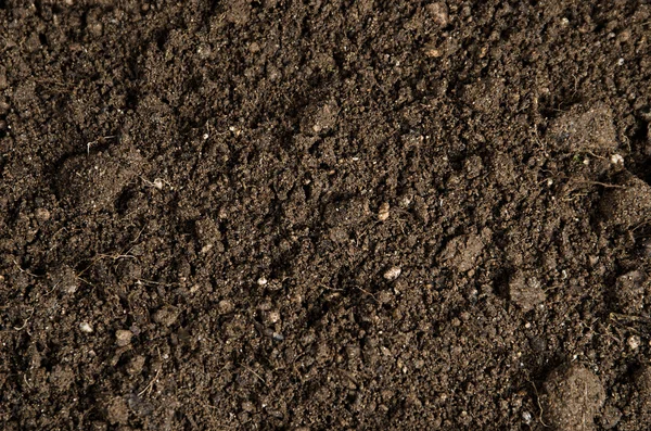 Close-up of a soil — Stock Photo, Image
