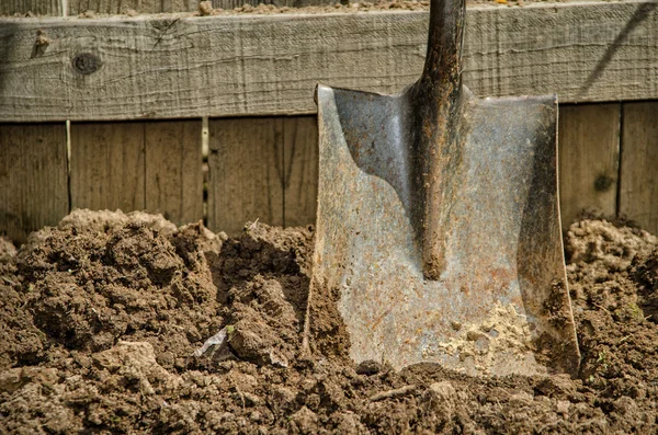 Лопата в почву — стоковое фото