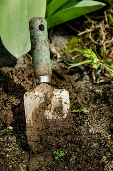Садовая лопатка — стоковое фото