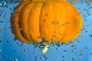 Pumpkin in a water clipart