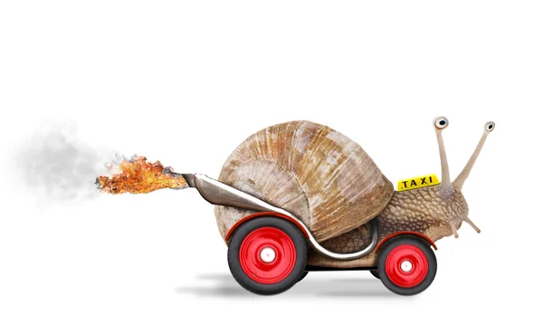 Speedy snail — Stock Photo, Image