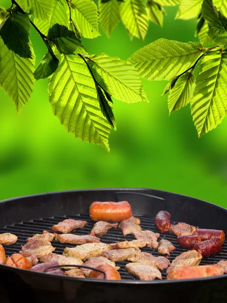 stock image Summer grilling