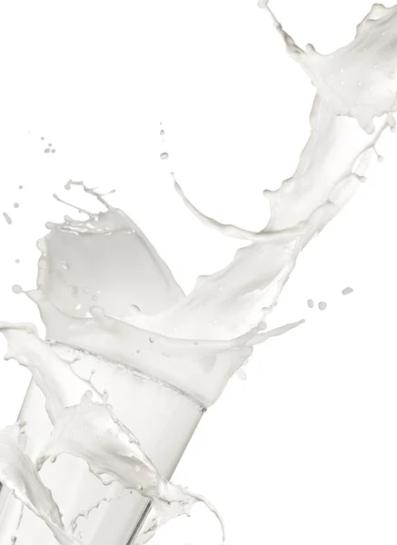 우유 음료 — 스톡 사진
