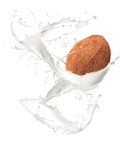 ココナッツ スプラッシュ — ストック写真