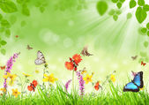 Картина, постер, плакат, фотообои "spring meadow", артикул 8386353
