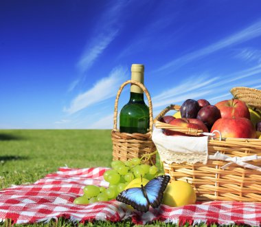 Picnic clipart