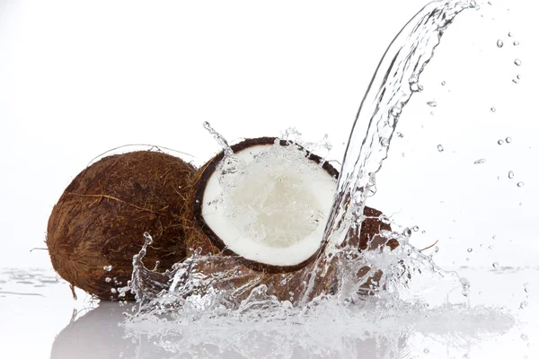 Färska kokosnötter — Stockfoto