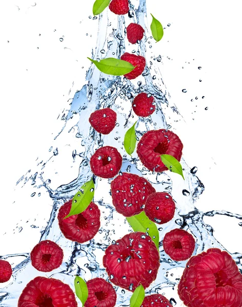 Frutta fresca — Foto Stock