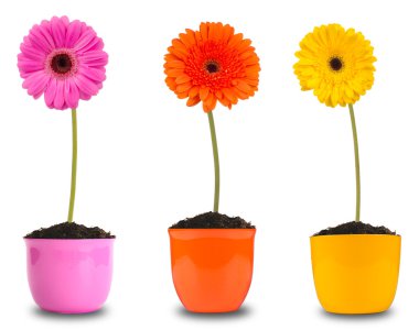 Spring flowers clipart