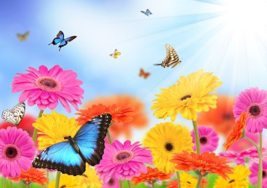 Spring background clipart