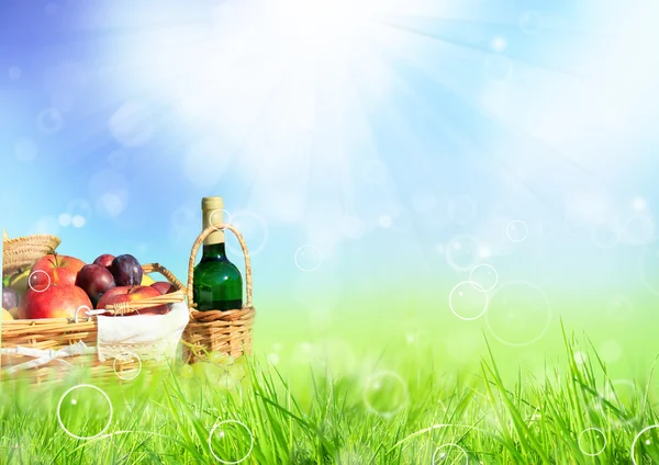 Весенний пикник — стоковое фото