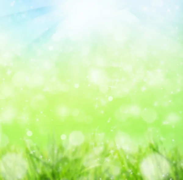 Spring meadow — Stock Photo, Image